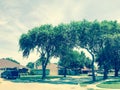 Quite neighborhood with tall trees canopy, pathway and single family houses lined up Royalty Free Stock Photo