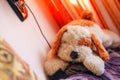 Plushy toy dog, warm tones Royalty Free Stock Photo