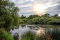 Quite river in sunlight covered in vegetation Royalty Free Stock Photo