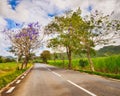 Quite road among green hills landscape, Mauritius Royalty Free Stock Photo