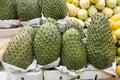 Guanabana tropical fruit for sale in authentic street market Royalty Free Stock Photo