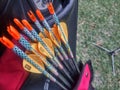 A quiver of arrows with yellow feathers