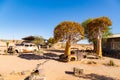 The quiver tree growing out of a car at Solitaire, Namibia Royalty Free Stock Photo