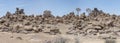 Quiver trees in Dolerite boulders swarm at Giants Playground, Keetmansoop, Namibia