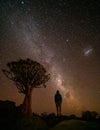 Quivertree forest under the milkyway near Ketmanshoop Royalty Free Stock Photo