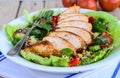 Qunioa salad with grilled chicken Royalty Free Stock Photo