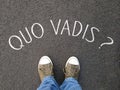 Quo vadis is a latin phrase meaning where are you going