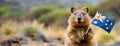 Quokka Holding Australian Flag with Natural Background An adorable quokka stands holding the Australian flag, a symbol