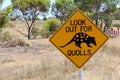 Quolls warning road sign, South Australia