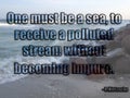 One must be a sea, to receive a polluted stream without becoming impure.