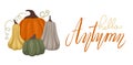 Quote hello autumn. Cozy autumn banner with pile vegetables and calligraphic inscription. Horizontal vector card with pumpkins Royalty Free Stock Photo