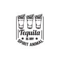 Quote typographical background about tequila