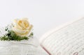 Quran and the Rose