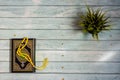 Quran on Wooden Background. Ramadan is coming