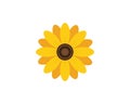 Sunflower logo vector template illustration