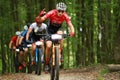 MTB cyclist racing in forest