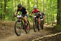Three cyclist racing in forest