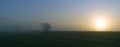 Misty sunrise over flat Lincolnshire field