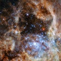 Tarantula nebula in the Large Magellanic cloud Royalty Free Stock Photo