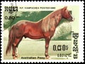 R.P. KAMPUCHEA - CIRCA 1986: A stamp printed in R.P. Kampuchea shows a Australian Pony