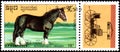 R.P. KAMPUCHEA - CIRCA 1989: A stamp printed in R.P. Kampuchea shows a Vladimir heavy draught horse