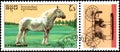 R.P. KAMPUCHEA - CIRCA 1989: A stamp printed in R.P. Kampuchea shows a Bolounais Horse, series breeds of horses