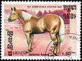 R.P. KAMPUCHEA - CIRCA 1986: A stamp printed in R.P.Kampuchea shows a Quarter horse