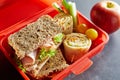 R plastic kids lunch box with healthy food