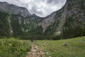 The RÃ¶thbach, the highest waterfall of Germany Royalty Free Stock Photo