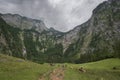 The RÃ¶thbach, the highest waterfall of Germany Royalty Free Stock Photo