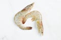 Ra fresh shrimps or prawns isolated on a white background Royalty Free Stock Photo