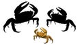 Giant crab monster set. Royalty Free Stock Photo