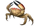 Giant crab monster. Royalty Free Stock Photo