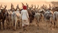 Rabari herder in the district of Kutch, India Royalty Free Stock Photo