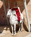 Rabat - Morocco, Africa - February 18, 2024: Moroccan Royal Guard. Rabat, Morocco Royalty Free Stock Photo