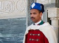 Rabat - Morocco, Africa - February 18, 2024: Moroccan Royal Guard. Rabat, Morocco Royalty Free Stock Photo