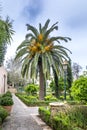 Oasis of freshness very appreciated by the Rabatis, the garden of the Oudayas, located in the Kasbah of the Oudayas in Rabat Royalty Free Stock Photo