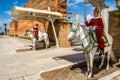 RABAT, MOROCCO - MARCH 20: Royal guard in front of Hassan Tower and Mausoleum of Mohammed V. March 20, 2018 in Rabat, Morocco Royalty Free Stock Photo