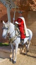 Rabat, Morocco - November 2019:A Moroccan guard on the horse in Hassan Tower in Rabat, Morocco