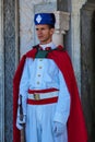 Rabat, Morocco - Oct 13, 2019: A royal maroccan guard in front of the mausoleum of the Mohammed V Royalty Free Stock Photo