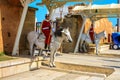 RABAT, MOROCCO - 22,04,2019: Royal guard in front of Hassan Tower and Mausoleum of Mohammed V Royalty Free Stock Photo