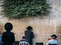Rabbis Praying at the Western Wall Royalty Free Stock Photo