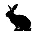 Silhouette of a rabbit domestic animal pose isolated on white background. Royalty Free Stock Photo