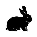 Silhouette of a rabbit domestic animal pose isolated on white background. Royalty Free Stock Photo