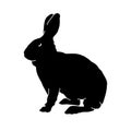 Silhouette of a rabbit domestic animal pose isolated on white background. Royalty Free Stock Photo