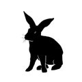 Silhouette of a rabbit domestic animal pose isolated on white background. Royalty Free Stock Photo