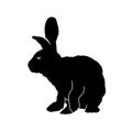 Silhouette of a rabbit domestic animal pose isolated on white background. Royalty Free Stock Photo
