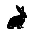 Silhouette of a rabbit domestic animal pose isolated on white background. Royalty Free Stock Photo