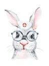 Rabbit Animal cute doctor watercolor hare kids illustration isolated on white background. Medical children design Royalty Free Stock Photo