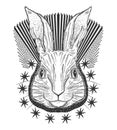 Rabbit animal magic drawing line.Black line in white background.Vintage style tattoo